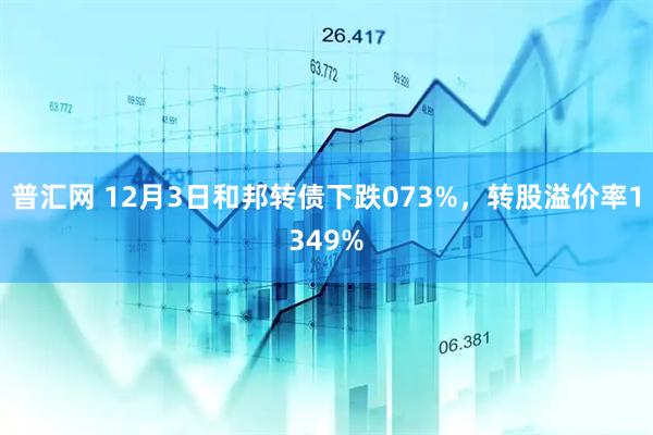 普汇网 12月3日和邦转债下跌073%，转股溢价率1349%