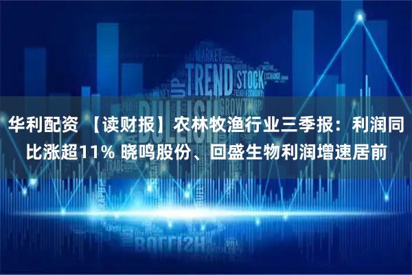 华利配资 【读财报】农林牧渔行业三季报：利润同比涨超11% 晓鸣股份、回盛生物利润增速居前